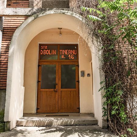 Arad Central Joy - Mihaela Apartment 外观 照片
