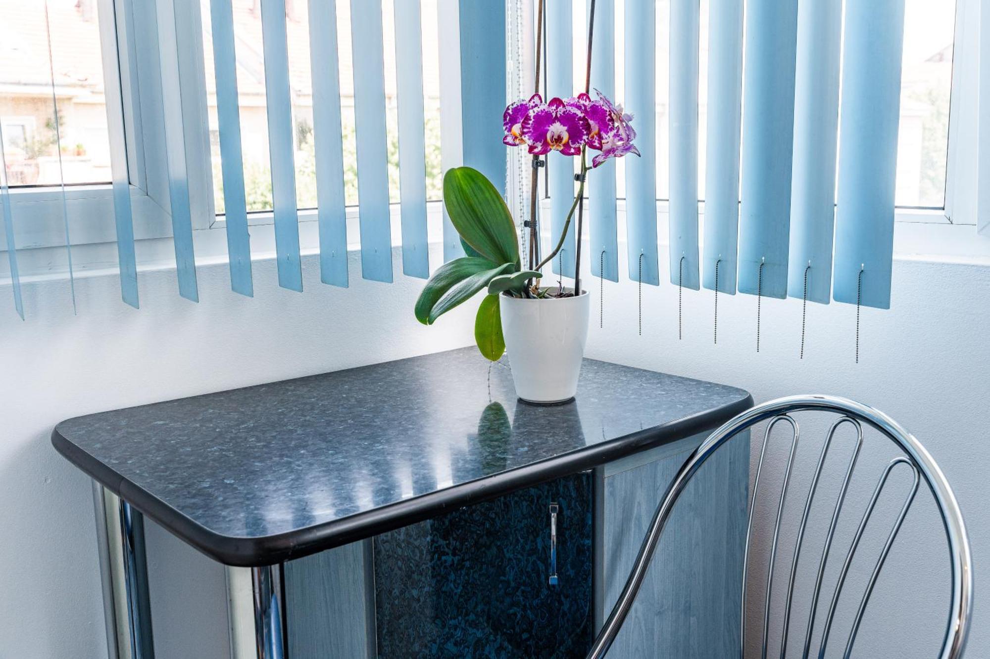 Arad Central Joy - Mihaela Apartment 外观 照片
