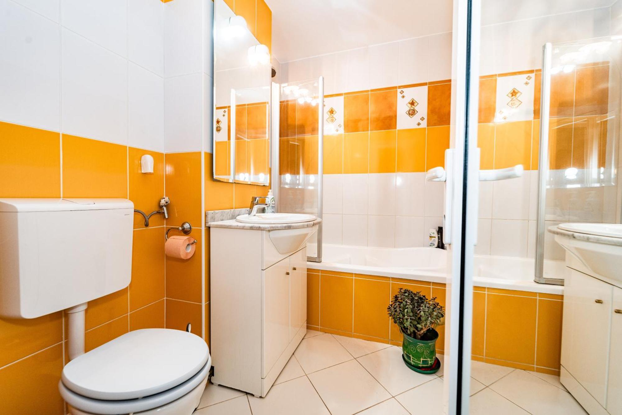 Arad Central Joy - Mihaela Apartment 外观 照片